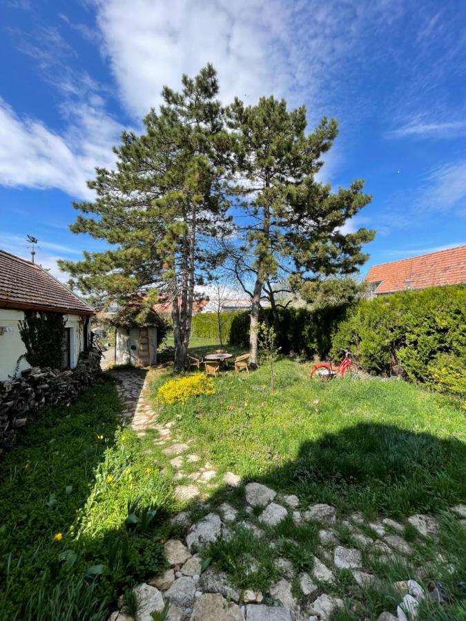 Gartenapartment Storchenblick Вайден-ам-Зе Екстер'єр фото